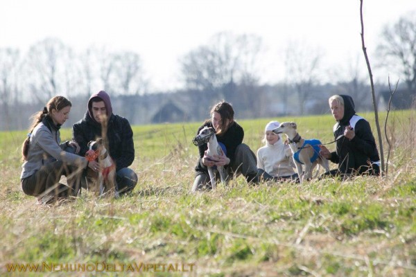 coursing1