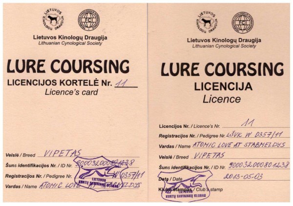 licenzija
